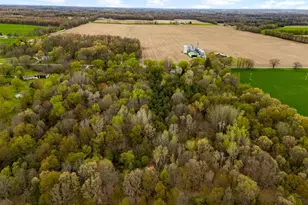 10299 Fisk Rd, Belding, MI 48809 - Photo 54