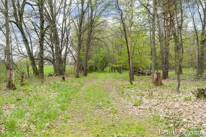 10299 Fisk Road, Belding, MI 48809 - Photo 48