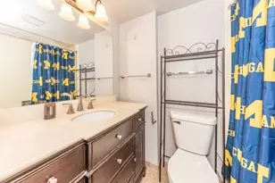 555 E William St, Ann Arbor, MI 48104 - Photo 10