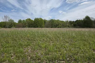V/L Michigan 40, Paw Paw, MI 49079 - Photo 1