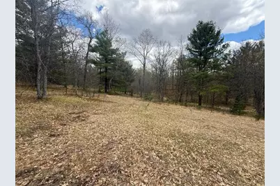 687 N Frank Smith Road, Luther, MI 49656 - Photo 34