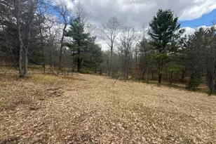 687 N Frank Smith Rd, Luther, MI 49656 - Photo 34