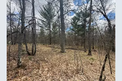 687 N Frank Smith Road, Luther, MI 49656 - Photo 40