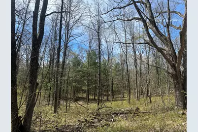 00 S Shepperd Road, Branch, MI 49402 - Photo 4