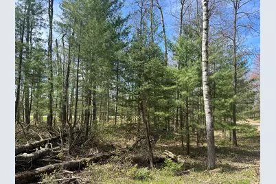 00 S Shepperd Road, Branch, MI 49402 - Photo 12