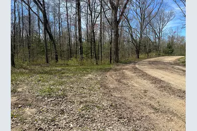 00 S Shepperd Road, Branch, MI 49402 - Photo 2