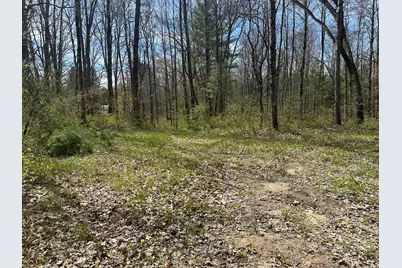 00 S Shepperd Road, Branch, MI 49402 - Photo 1
