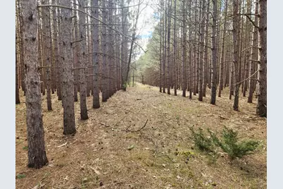 2398 Bittersweet Drive, Manistee, MI 49660 - Photo 1