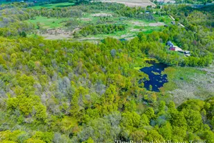 2395 Maple Grove Rd, Hastings, MI 49058 - Photo 54