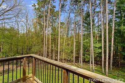 102 Sagamore Trail SE, Lowell, MI 49331 - Photo 48