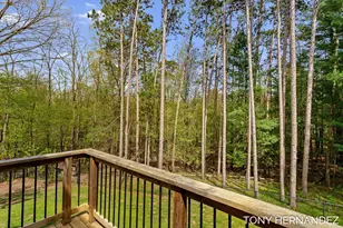 102 Sagamore Trail SE, Lowell, MI 49331 - Photo 48