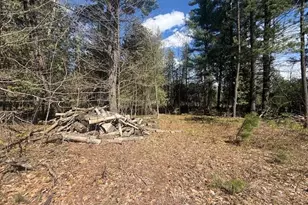 735 N Lakola Rd, Leroy, MI 49655 - Photo 1