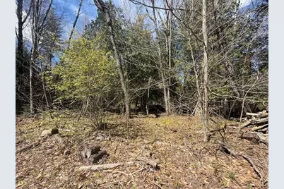 735 N Lakola Road, Leroy, MI 49655 - Photo 10