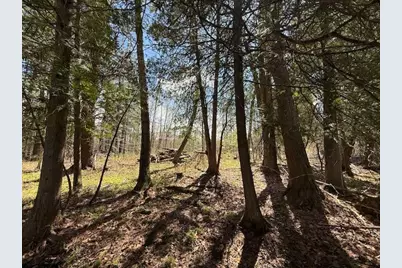735 N Lakola Road, Leroy, MI 49655 - Photo 6