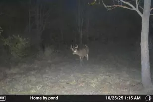 8885 Burmeister Rd, Saline, MI 48176 - Photo 50