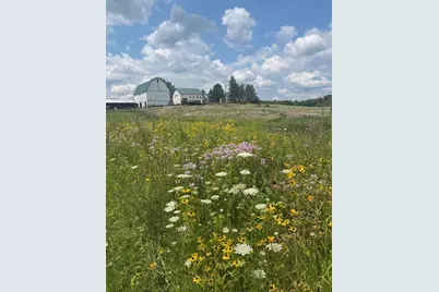 8885 Burmeister Road, Saline, MI 48176 - Photo 94