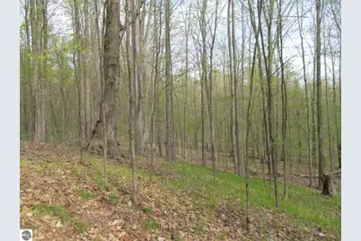1858 N Kings Highway, Luther, MI 49656 - Photo 24
