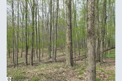 1858 N Kings Highway, Luther, MI 49656 - Photo 14