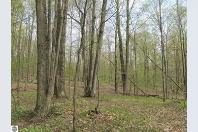 1858 N Kings Highway, Luther, MI 49656 - Photo 26