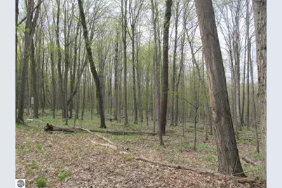 1858 N Kings Highway, Luther, MI 49656 - Photo 16