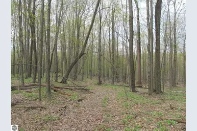 1858 N Kings Highway, Luther, MI 49656 - Photo 20