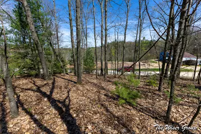 V/L Hawk Dr, Greenville, MI 48838 - Photo 8