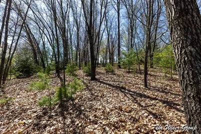 V/L Hawk Dr, Greenville, MI 48838 - Photo 6