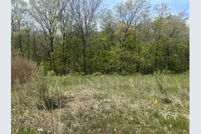 Jane Way #7, Sawyer, MI 49125 - Photo 2