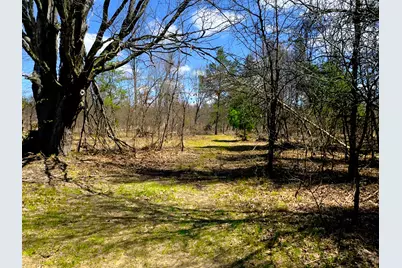 984 W Rose Meadow Drive, Luther, MI 49656 - Photo 82