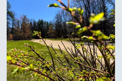 984 W Rose Meadow Drive, Luther, MI 49656 - Photo 60