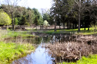 10299 Frost (2 Parcels) Road, Portland, MI 48875 - Photo 8