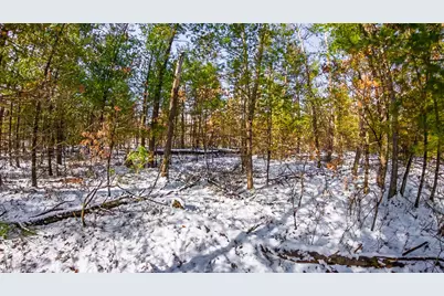 2745 E Gladys Street, Baldwin, MI 49304 - Photo 12