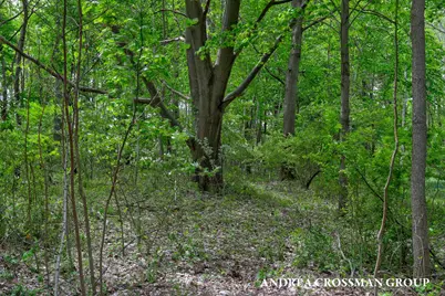 7032 Glenn Oaks Drive, South Haven, MI 49090 - Photo 14