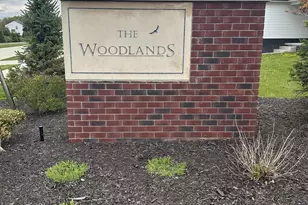 26338 Pine Gate Dr, New Baltimore, MI 48051 - Photo 2