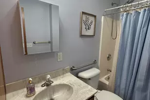 1003 Mitchell St, Ludington, MI 49431 - Photo 30