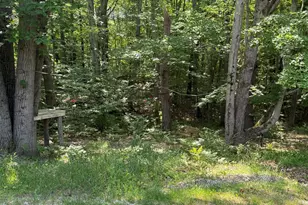 6774 Mears Rd, Ludington, MI 49431 - Photo 62