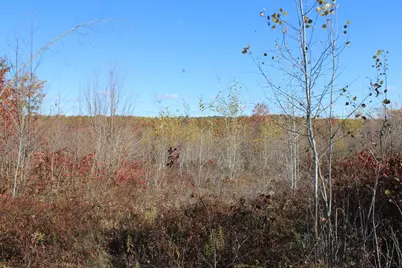 0Vl Railroad Grade Rd, Harrison, MI 48625 - Photo 14