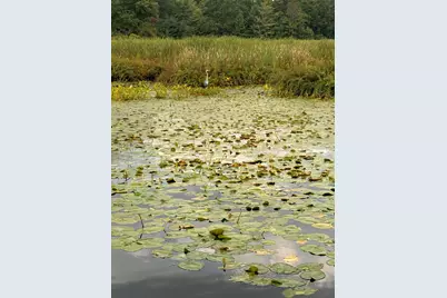 17185 Sandy Lane, Barryton, MI 49305 - Photo 2
