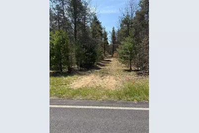 Vl W Almy Road, Howard City, MI 49329 - Photo 2