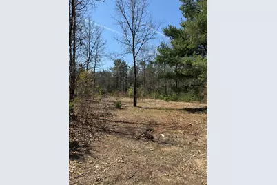 Vl W Almy Road, Howard City, MI 49329 - Photo 10