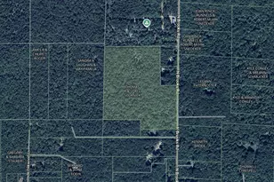 6143 W 9 1/2 Mile Rd, Irons, MI 49644 - Photo 24