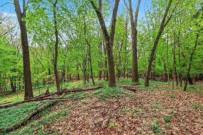 1000 Carolee Lane, Kalamazoo, MI 49008 - Photo 38