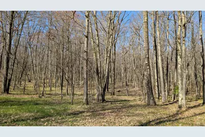 V/L Willow Avenue N #Parcel J, Bitely, MI 49309 - Photo 4