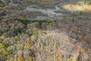 22475 Wildflower Dr, Pierson, MI 49339 - Photo 40