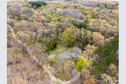 22475 Wildflower Drive, Pierson, MI 49339 - Photo 42