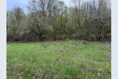 V/L Biggs Avenue NE, Lowell, MI 49331 - Photo 14