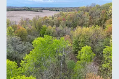 V/L Biggs Avenue NE, Lowell, MI 49331 - Photo 6
