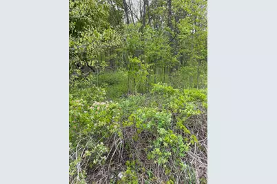 W Territorial Road, Battle Creek, MI 49015 - Photo 4