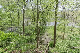 125 Scenic View Dr, Niles, MI 49120 - Photo 40