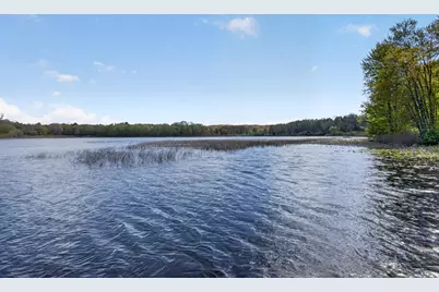 12001 Strait Road, Hanover, MI 49241 - Photo 68